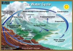 Diagram of the water cycle. 